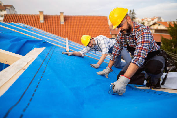 Best Emergency Roof Repair Services  in Bridgeport, OH